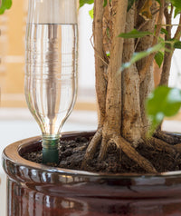 Blumat Easy Bottle Watering Stakes – 3 Pack