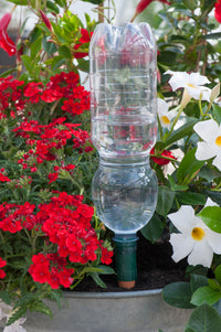 Blumat Easy Bottle Watering Stake - 1 Pack